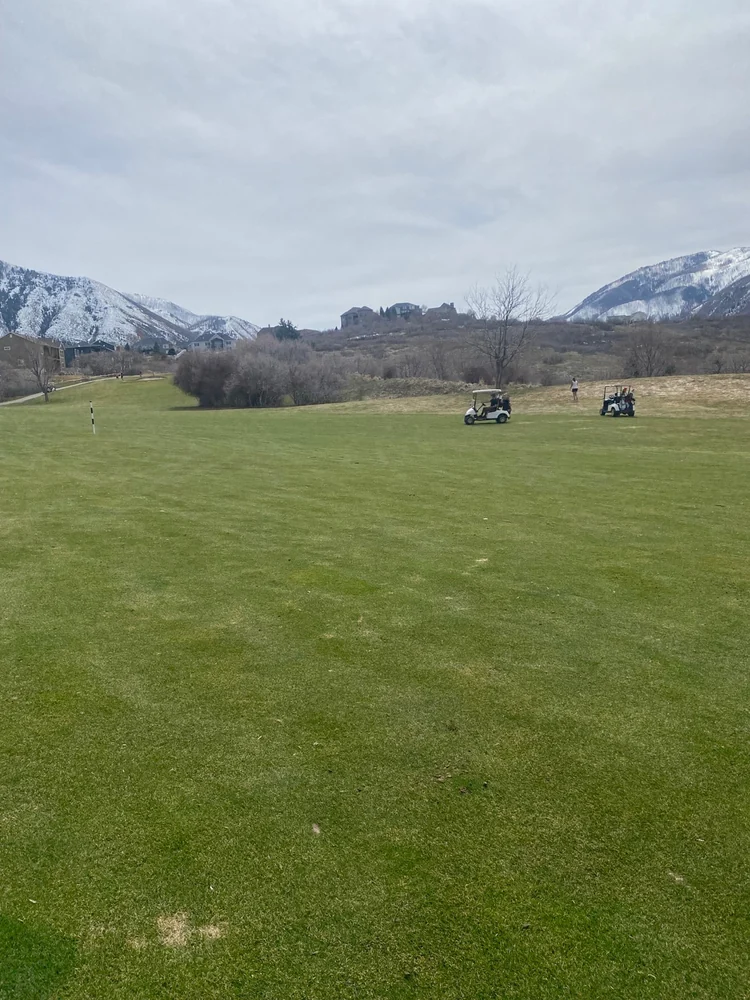 Golf carts and players on a fairway at Gladstan Golf Course, with snow on the mountains beyond.