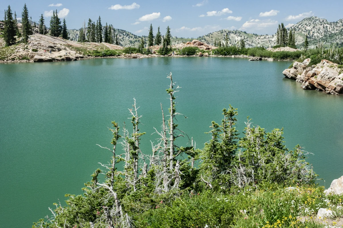 Cecret Lake with rocky shores, conifers and mountains beyond