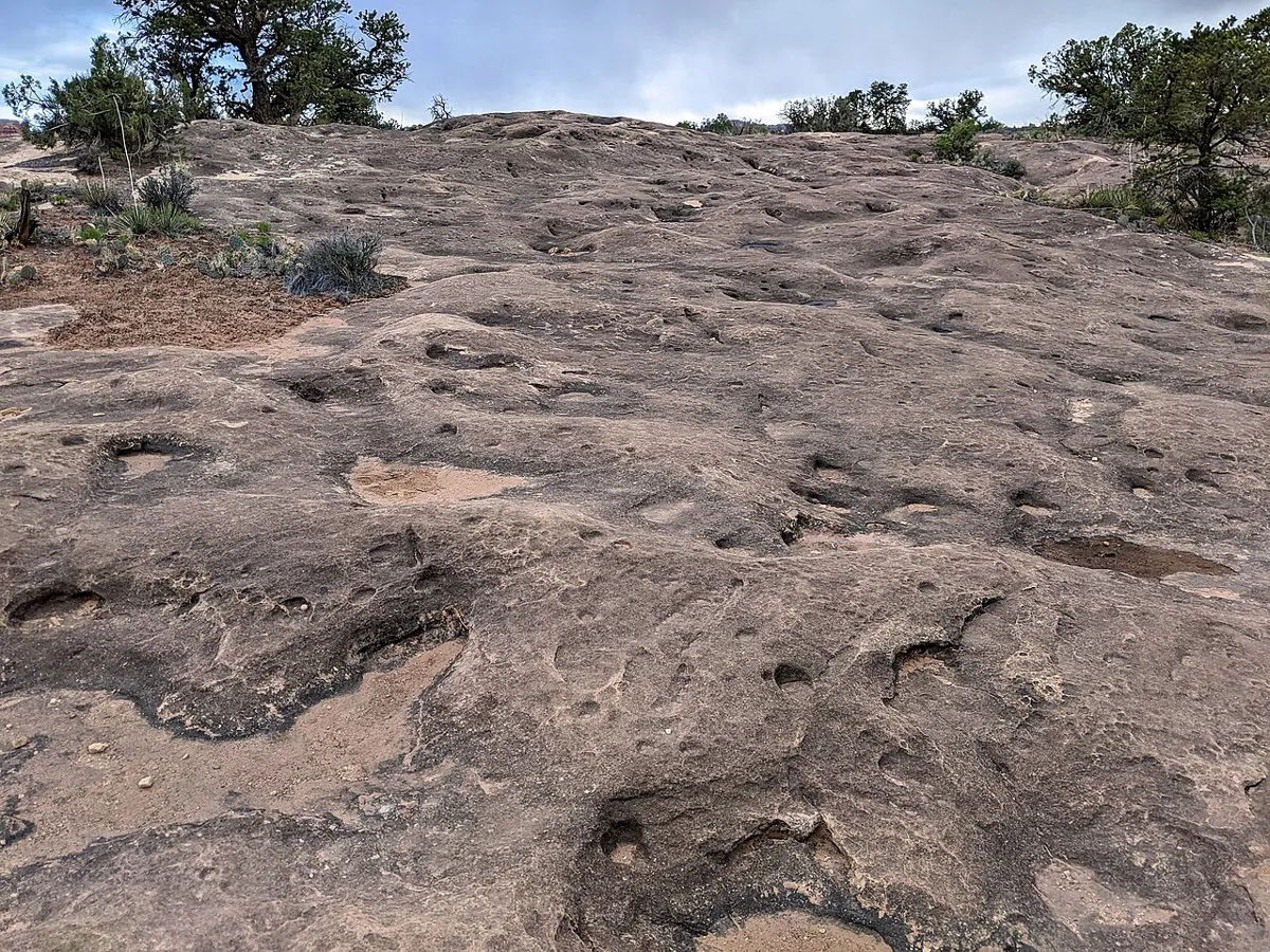 Rock potholes on the slickrock at Pothole Point in Canyonlands National Park