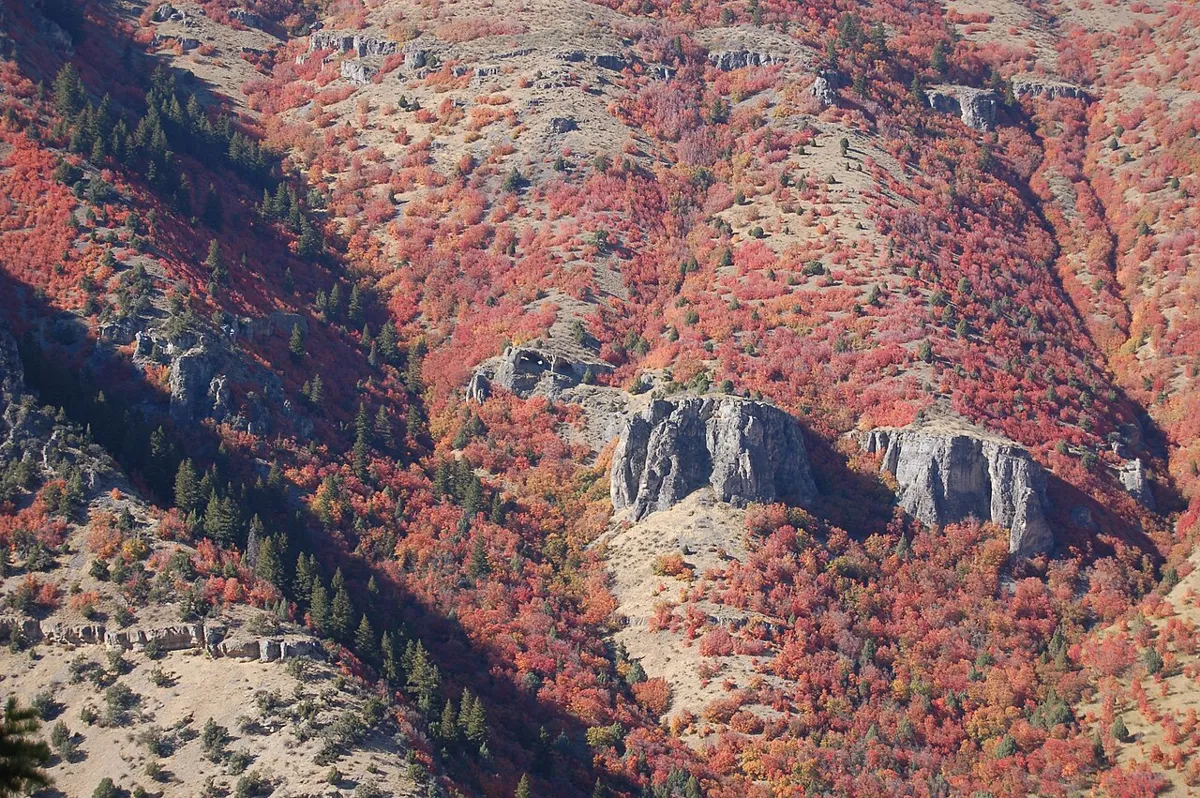 Aerial view of the Wind Caves in cliffs above autumn-colored hillsides in Logan Canyon