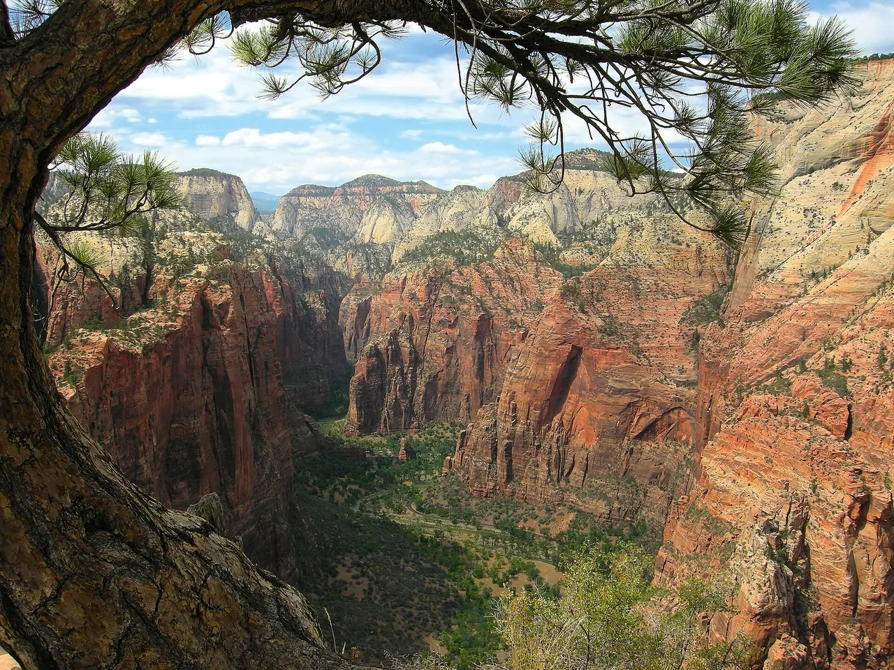 View north toward the Narrows from the Angels Landing trail in Zion National Park