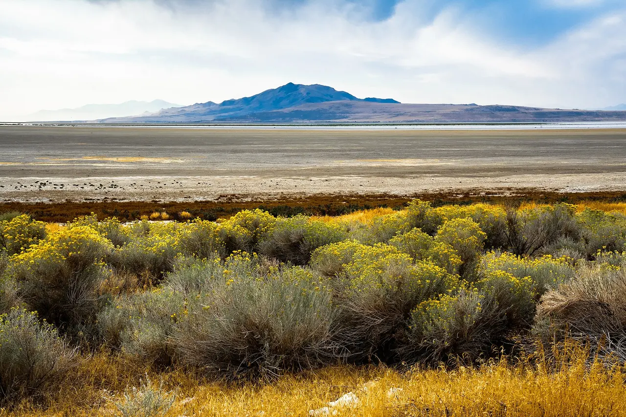 Open grassland and hills on Antelope Island State Park in the Great Salt Lake