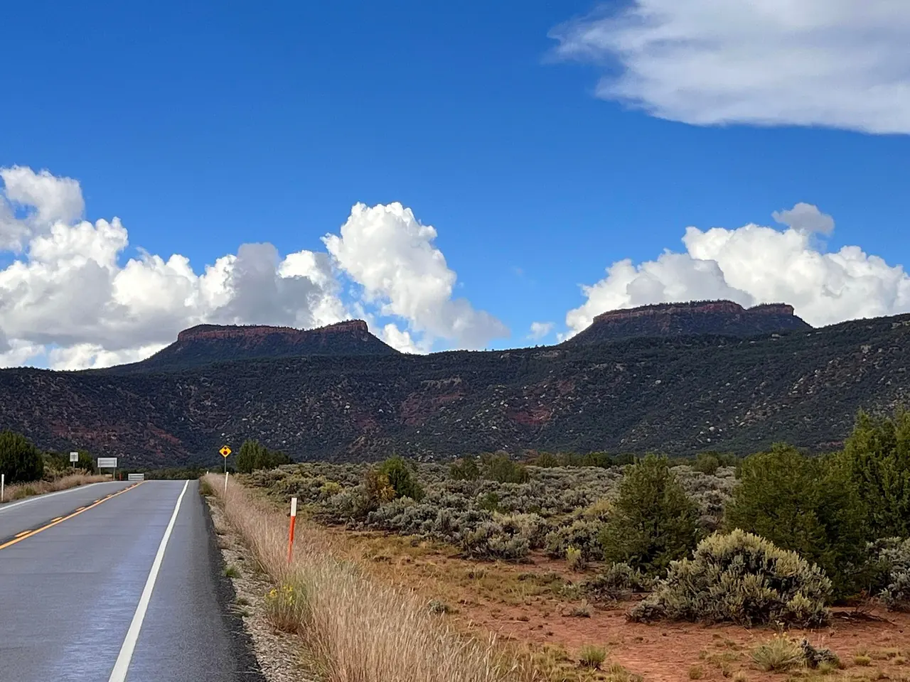 The twin Bears Ears buttes rising above forested mesa country in Bears Ears National Monument